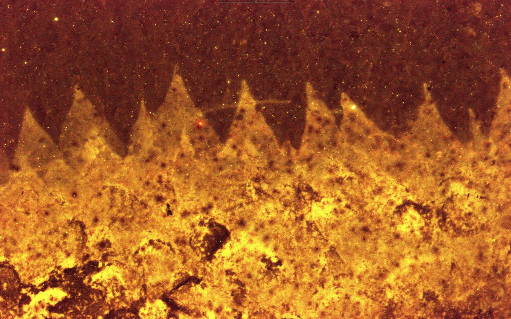 Cientistas fazem descoberta sobre fóssil de 500 milhões de anos