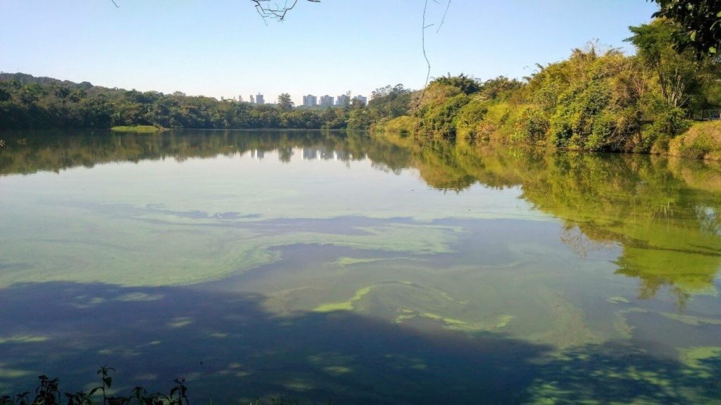 Lama no fundo de lago guarda um século de história da poluição em São Paulo