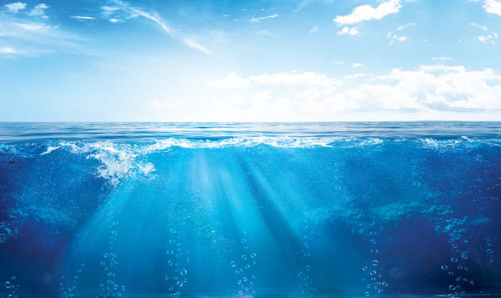 Conhecemos menos de 1% das profundezas do oceano
