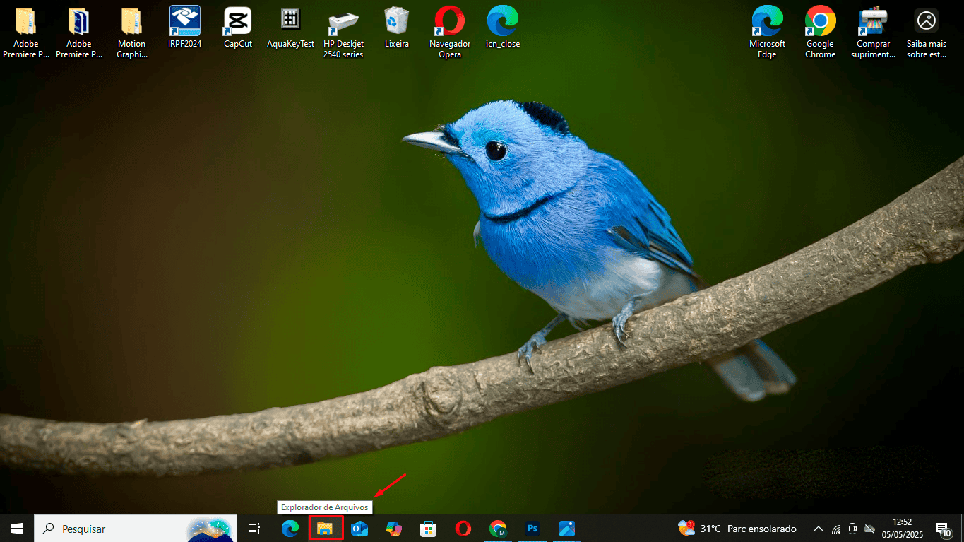 Como baixar e instalar papel de parede no Windows ou Mac