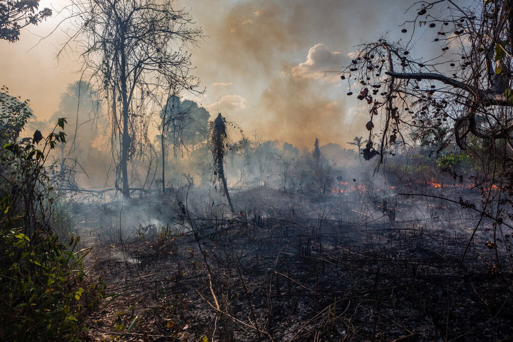 Senado aprova novas regras de licenciamento ambiental e reacende debate