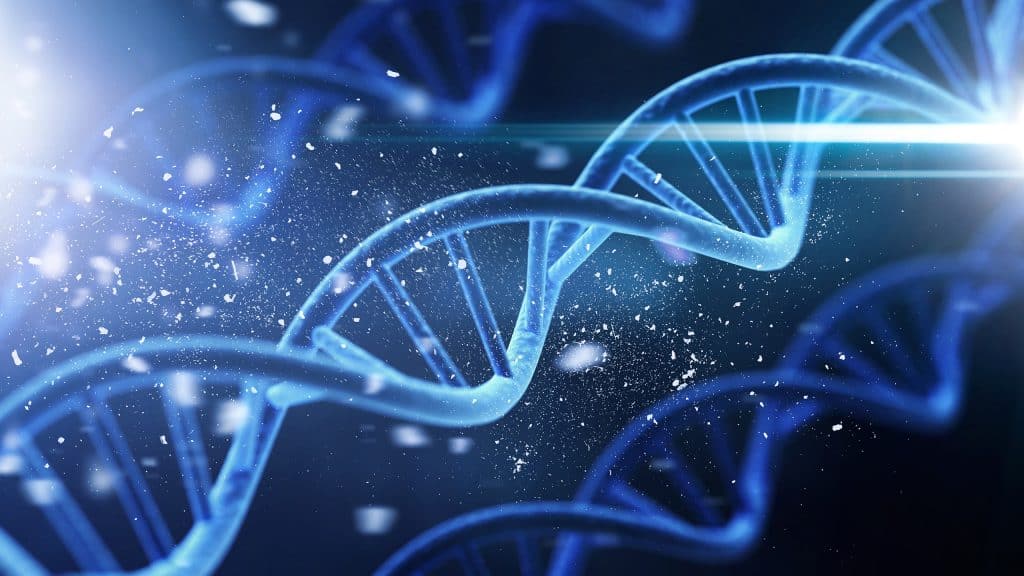 DNA revela segredos sobre a evolução dos mamutes