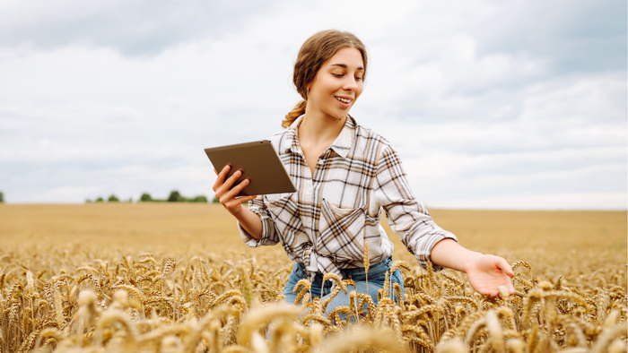 Como a Inteligência Artificial afeta o meio ambiente e o que fazer sobre isso
