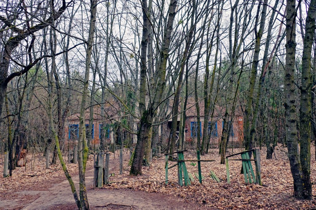 Chernobyl: fazendas podem ser cultivadas com segurança; entenda
