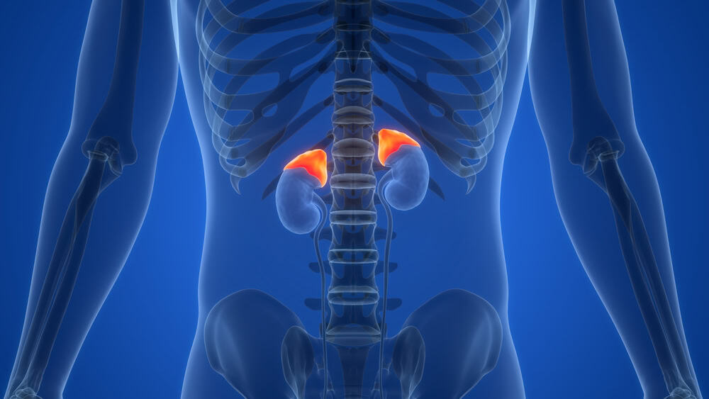 Estresse descontrolado? Veja como ele mexe com o cortisol e seu corpo
